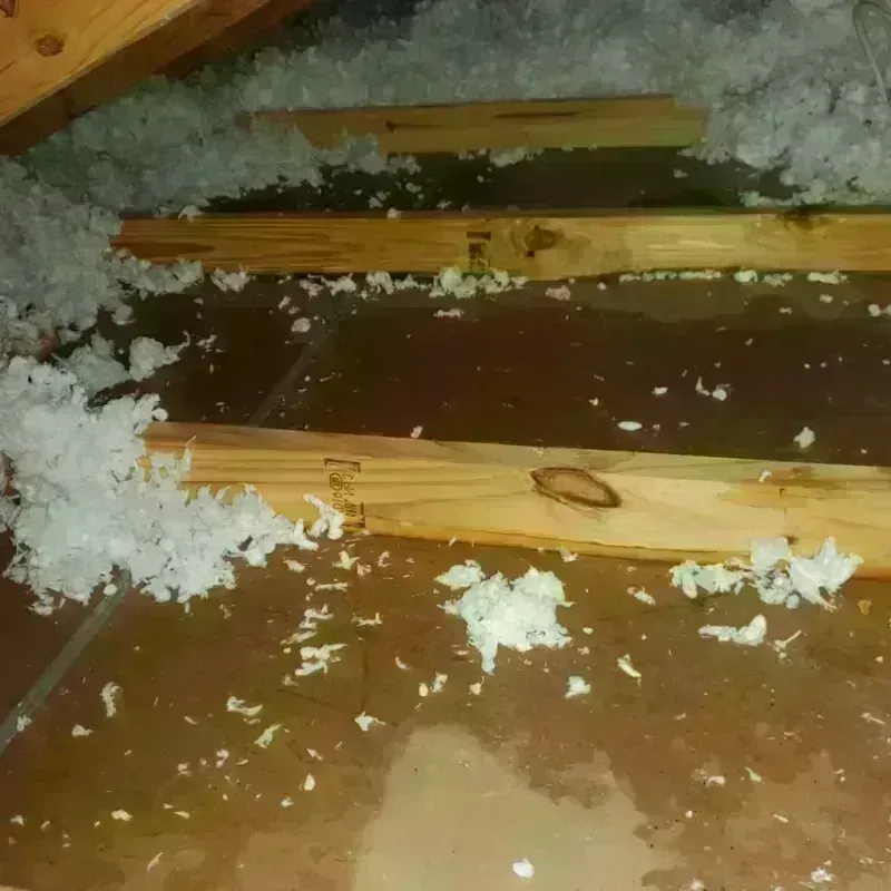 Attic Water Damage in Saginaw, TX