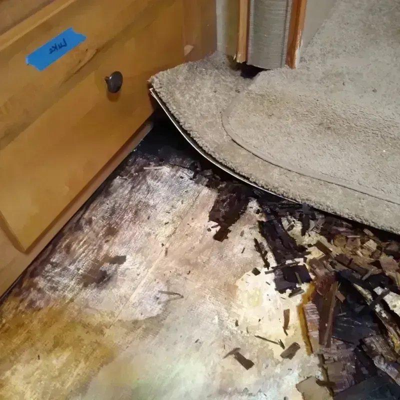 Wood Floor Water Damage in Saginaw, TX